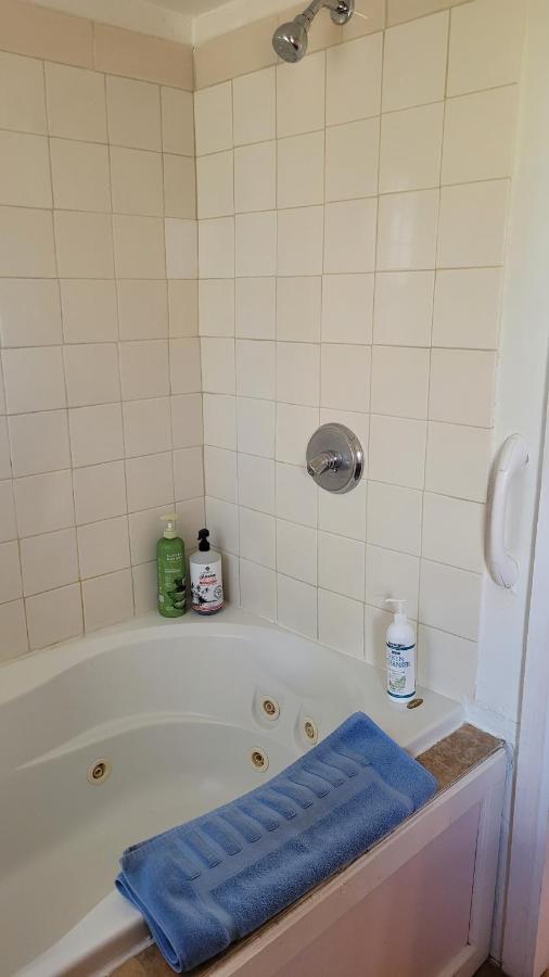 Angel Cottage With A Sauna Or The Cozy With A Jacuzzi Tub, Both Are Studios With A View Of Mount Shasta Exteriör bild