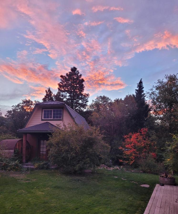 Angel Cottage With A Sauna Or The Cozy With A Jacuzzi Tub, Both Are Studios With A View Of Mount Shasta Exteriör bild