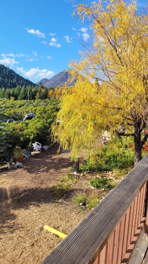 Angel Cottage With A Sauna Or The Cozy With A Jacuzzi Tub, Both Are Studios With A View Of Mount Shasta Exteriör bild