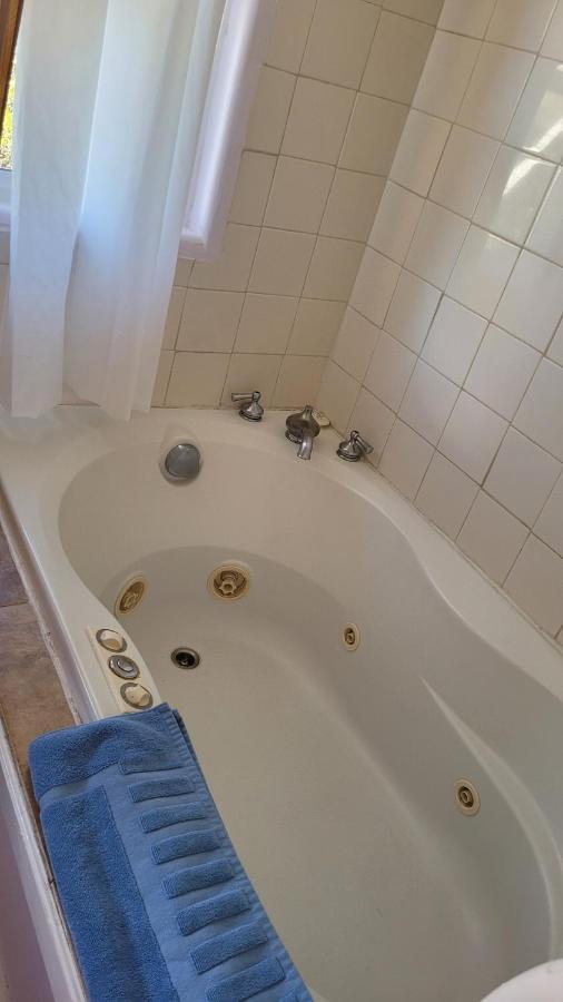 Angel Cottage With A Sauna Or The Cozy With A Jacuzzi Tub, Both Are Studios With A View Of Mount Shasta Exteriör bild