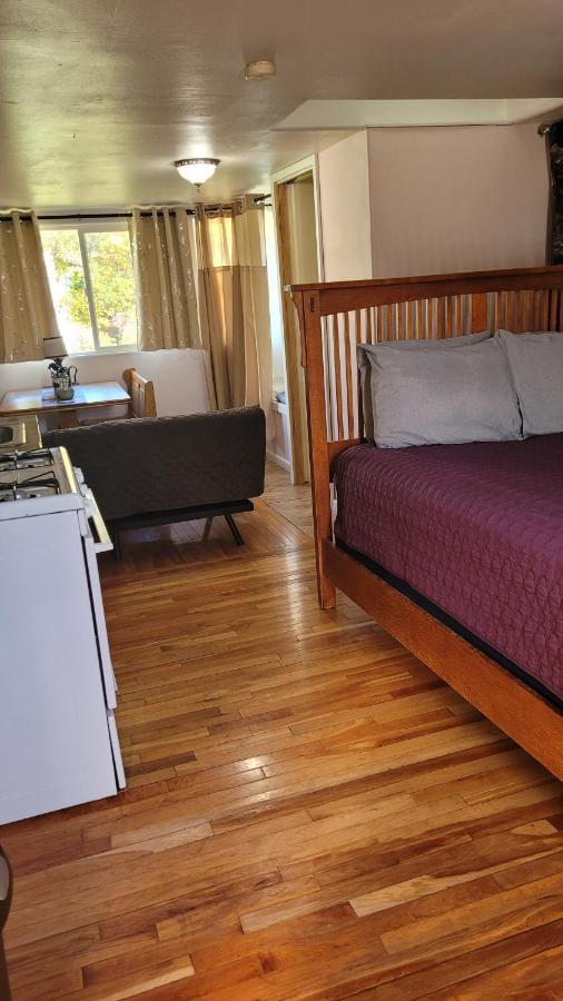 Angel Cottage With A Sauna Or The Cozy With A Jacuzzi Tub, Both Are Studios With A View Of Mount Shasta Exteriör bild