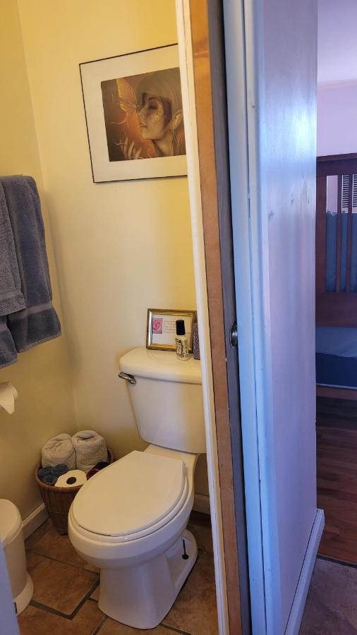 Angel Cottage With A Sauna Or The Cozy With A Jacuzzi Tub, Both Are Studios With A View Of Mount Shasta Exteriör bild